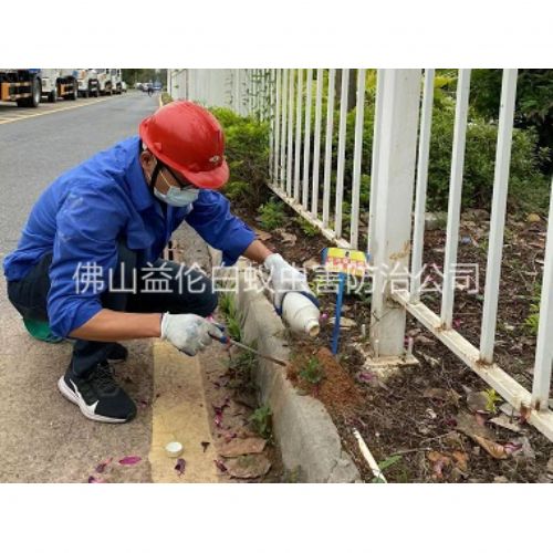 狮山红火蚁防治工程