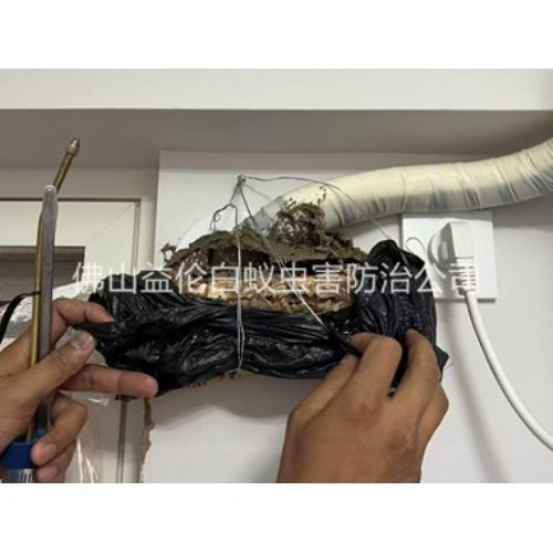 黄岐房屋白蚁诱杀工程
