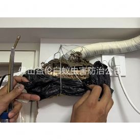 黄岐房屋白蚁诱杀工程