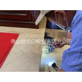 丹灶装置诱杀箱监测白蚁工程